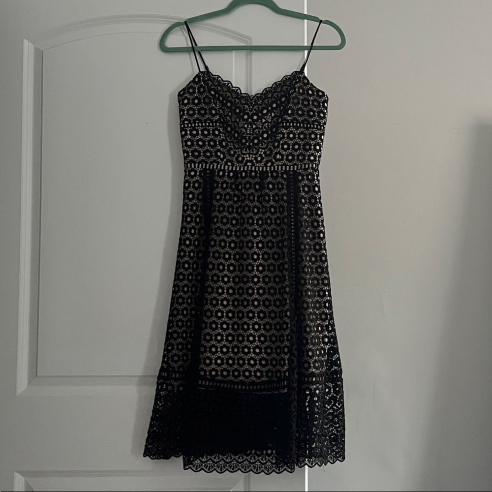 J. Crew Black and Cream Lace Dress